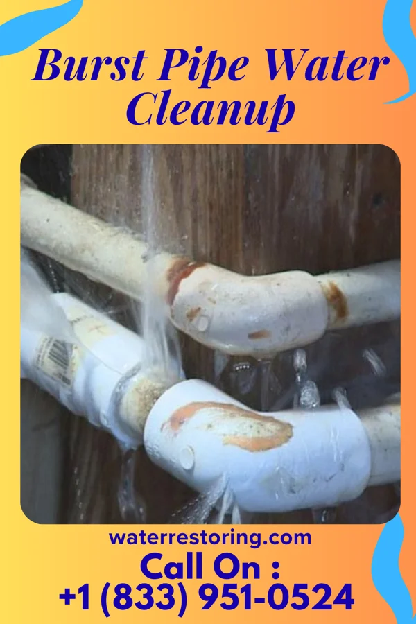 Burst Pipe Water Cleanup in Orrum, NC