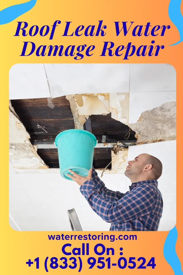 Roof Leak Water Damage Repair in Orrum, NC
