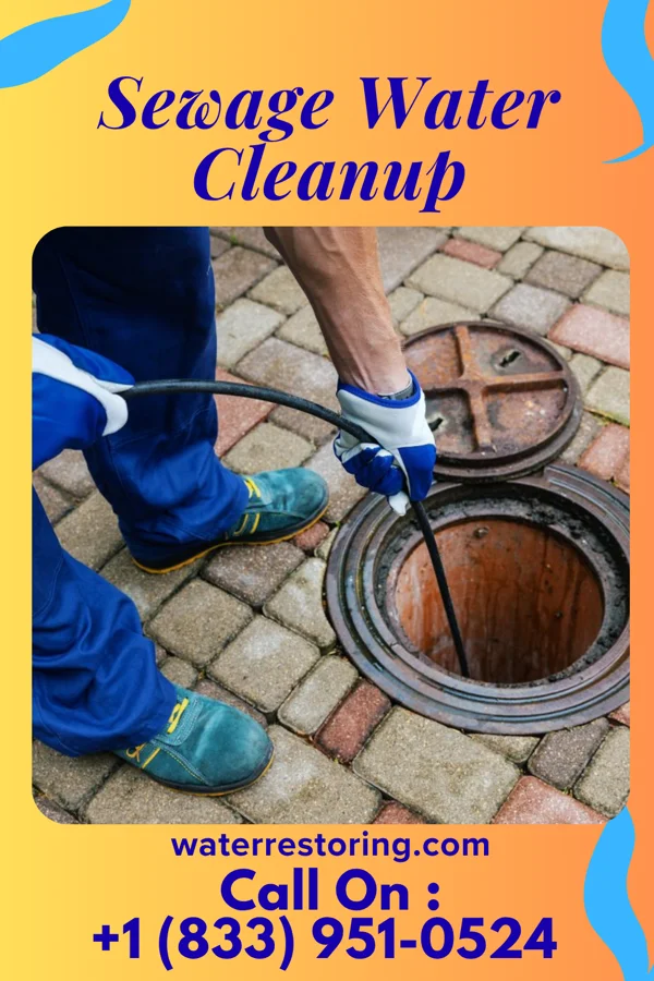Sewage Water Cleanup in Orrum, NC
