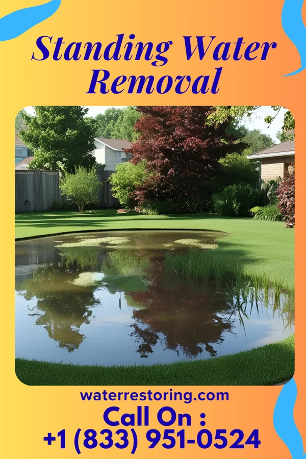 Standing Water Removal in Orrum, NC